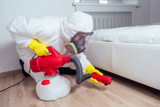 Best Affordable Pest Control Services  in The College Of New Jersey, NJ