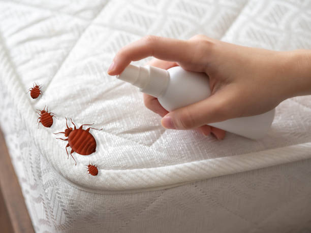 Insect Control in The College Of New Jersey, NJ
