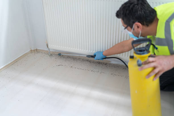 Best Mosquito Control Services  in The College Of New Jersey, NJ