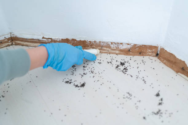 Best Pest Control Near Me  in The College Of New Jersey, NJ