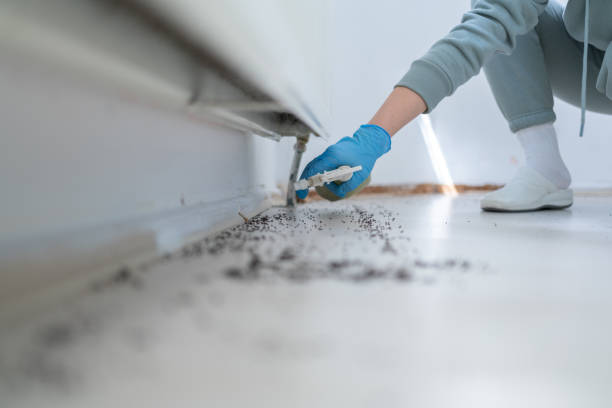 Pest Prevention Services in The College Of New Jersey, NJ